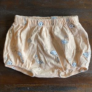 Rylee & Cru Bloomers